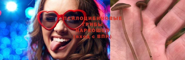 стаф Елабуга