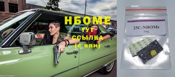 стаф Елабуга