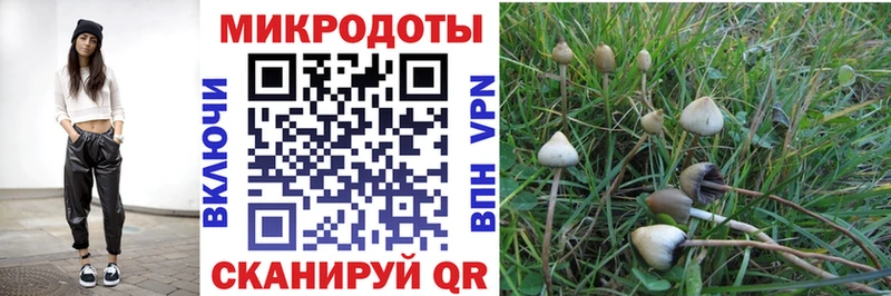 Купить закладки  Духовщина  Псилоцибиновые грибы прущие грибы 